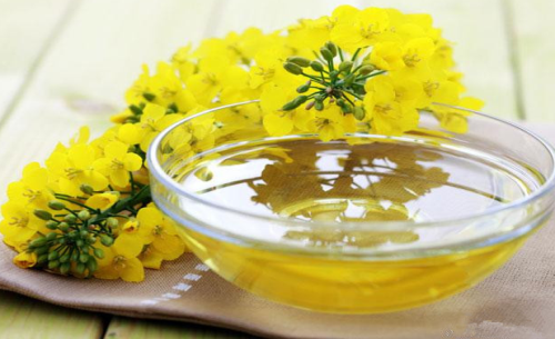 菜油期貨手續(xù)費標準，怎么降低菜油